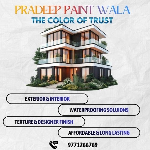 pradeep paint wala (1)